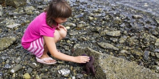Ils ont entre 7 et 10 ans. Ils ont une curiosité quasi scientifique pour ce qui les entoure. Un plaisir fou à apprendre