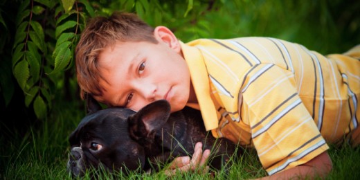 Après l'adoption d'un chien, comment s'organiser à la maison