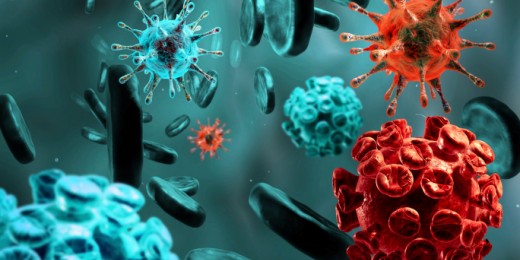 Petit point sur les IST et particulièrement le HPV