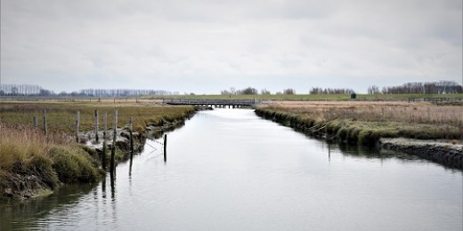 Promenade hivernale sur le site du Zwin