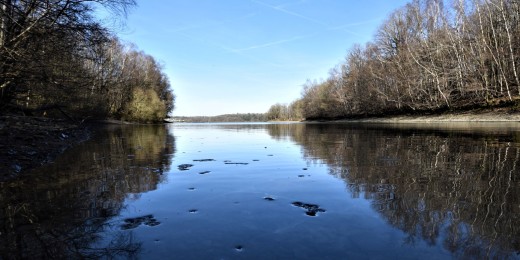 Une aventure pédestre très agréable et dépaysante au Lac de l'Eau d'Heure
