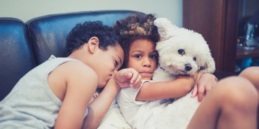 L'animal et l'enfant, une relation pleine de positif quand le cadre est clair