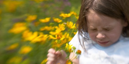 Pour certains enfants, le retour des beaux jours est synonyme de gorge qui gratte et d'éternuements