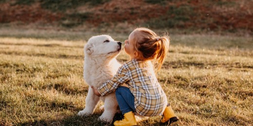 Les bienfaits du compagnon à quatre pattes sur la croissance affective et psychologique de votre enfant sont légion