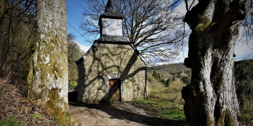 Entre livres et eau, balade en Ardennes du côté de Redu