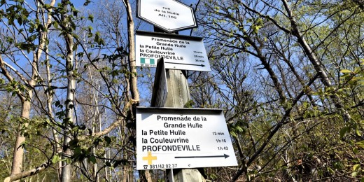 Balade en bord de Meuse dans le Namurois