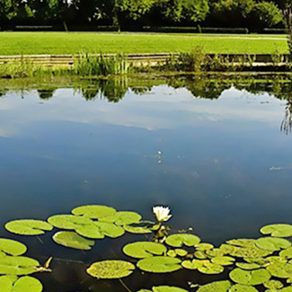 LAC DE BAMBOIS: 1€ de réduction