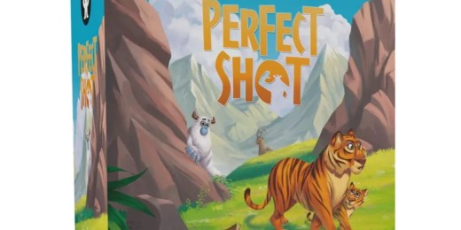 Perfect Shot, un jeu d'observation et de collecte