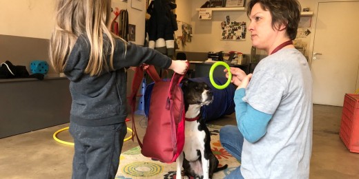 Comment faire quand son enfant est en panique à la vue d'un chien ?