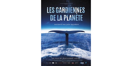 Les Gardiennes de la planète, un clip sensoriel qui nous emmène dans le sillage des baleines