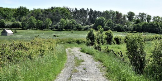 La commune de Doische compte quelque petits villages valant la peine d’y jeter un œil en famille
