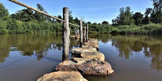 Meerhout