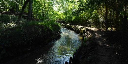 Des itinéraires pour profiter à la fois de la beauté des villages brabançons, des forêts aux ambiances multiples, des chemins de campagnes