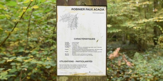 Chemin éco-pédagogique dans la région de Gerpinnes