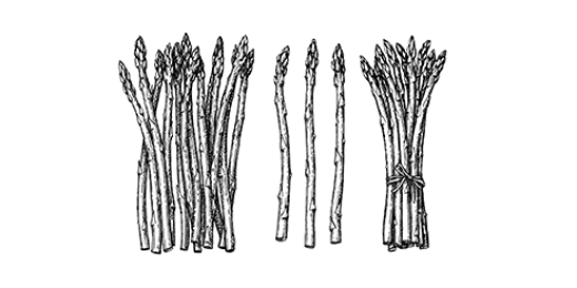 Blanches, vertes ou violettes, les asperges sont un pur délice de printemps