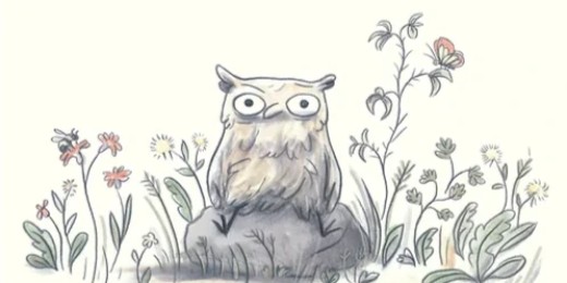 Livre jeunesse Le hibou abasourdi, de M. Sowa et Joanna Lorho (La Pastèque)