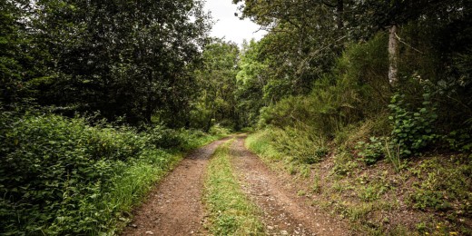 La promenade de Haubin et un extra