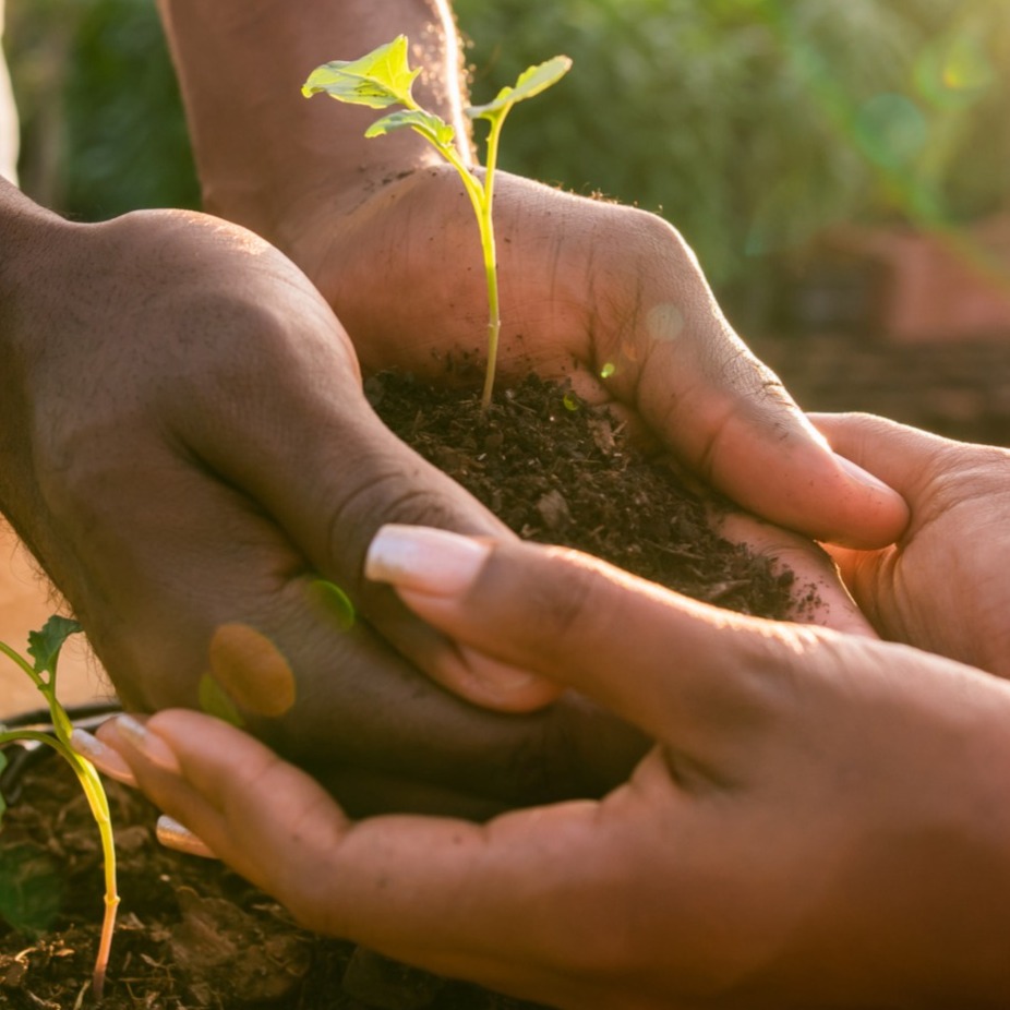 Une caravane sans déchet, on a relevé le défi