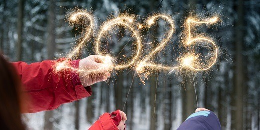 L'année 2024 en quelques faits