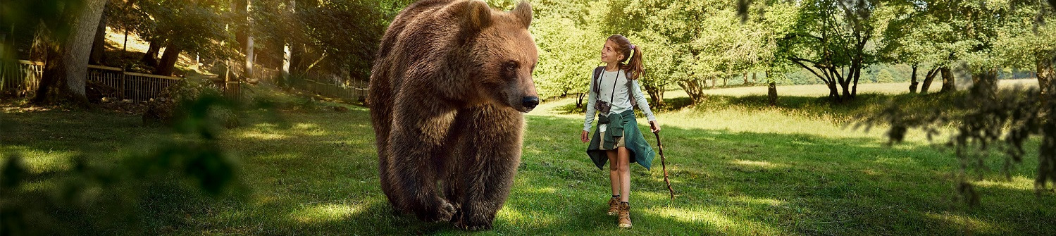 Aventurez vous à travers la nature des Grottes de Han