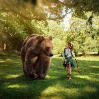 Grottes de Han : 25% de réduction sur le Pass Han