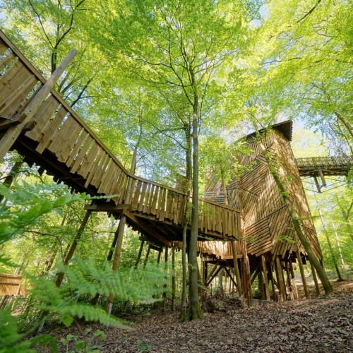 Un parc nature exceptionnel et des attractions en pleine nature