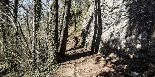 Promenades à Dourbes