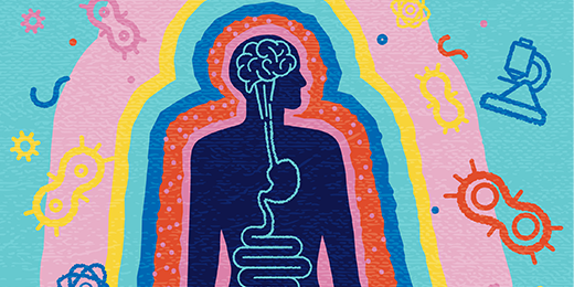 Le régime alimentaire modifie la composition et l’activité de la flore intestinale, aussi appelée microbiote