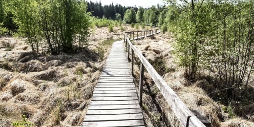 La Fange de l'Abîme