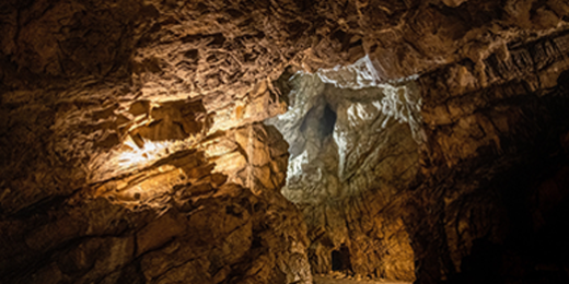 les grottes de Goyet ont livré un véritable trésor archéologique que nous étions curieux de découvrir