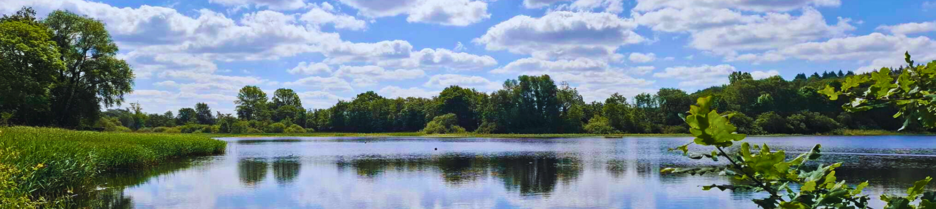 Un écrin de verdure méconnu, le Lac de Bambois