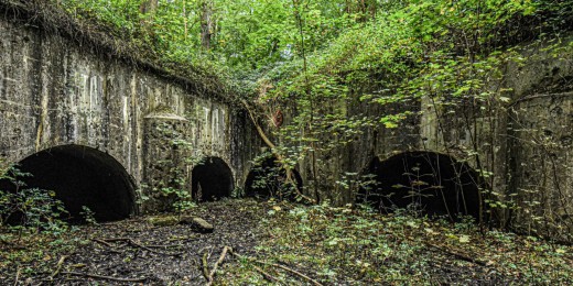 5 balades curieuses en Wallonie