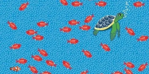 Ça frétille ici !, de ClémenceG. (À pas de loups)