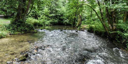 Purnode Vallée du Bocq