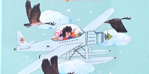 Coco et l’hydravion, de Romain Jallon et Lucile Placin (L’Étagère du bas)