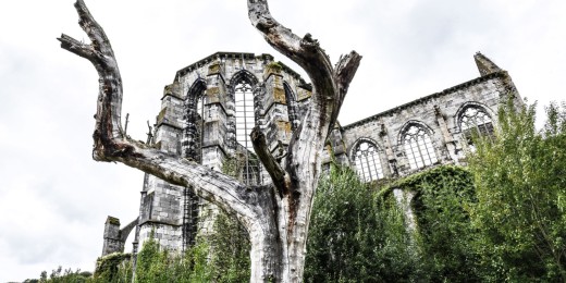 Balade familiale autour des ruines de l'abbaye d'Aulne