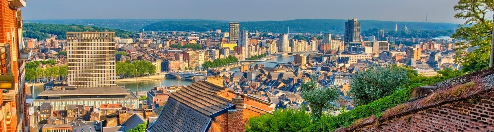 Vue de Liège 
