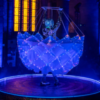 Spectacle Les Ailes de la Rose : 15% de réduction