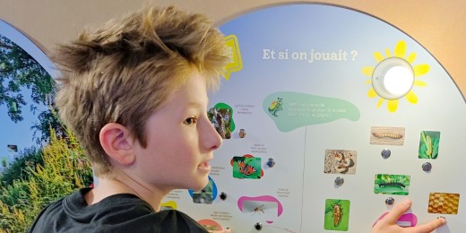 Visite à Hexapoda