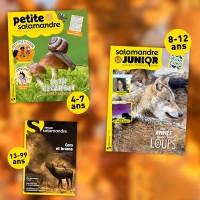 Abonnement au magazine Salamandre : 5% de réduction