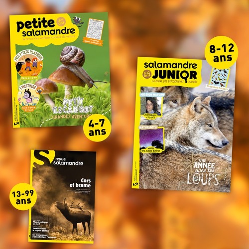 3 magazines correspondant à 3 âges différents